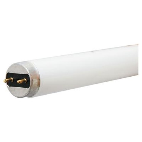 Fluorescent Linear Lamps